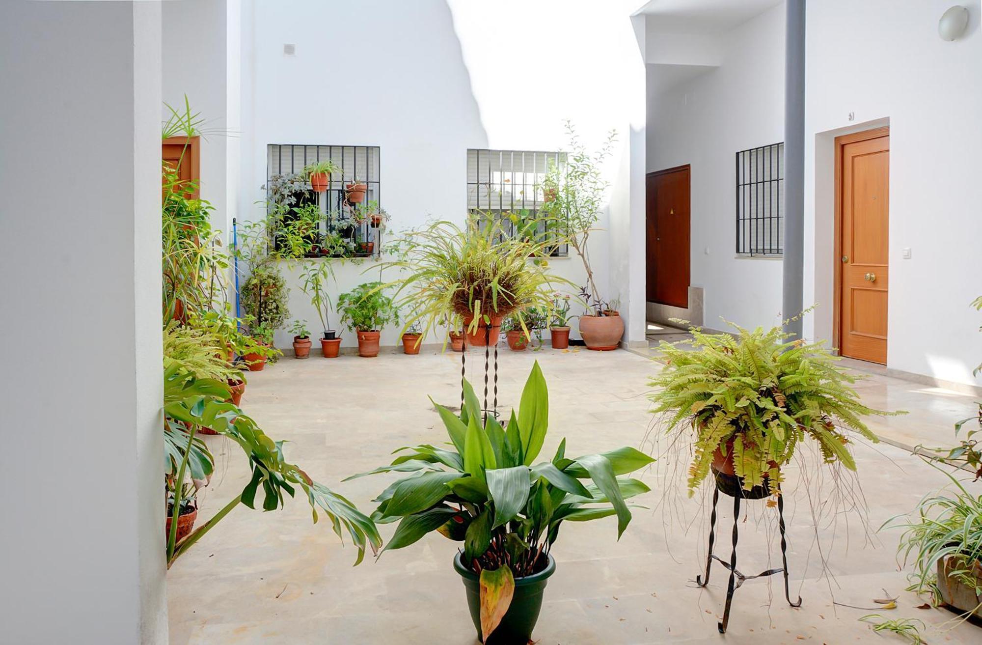 Estudio Plaza De La Encarnacion Sevilla Eksteriør bilde
